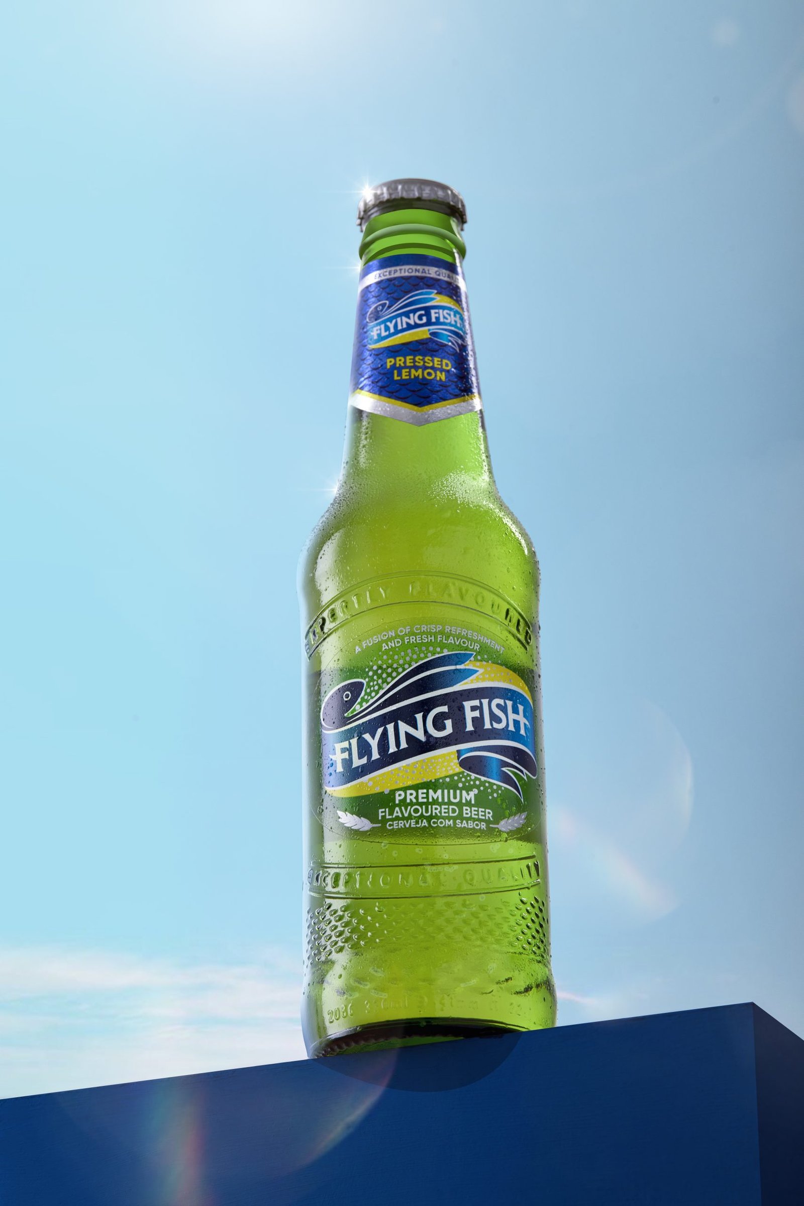 Flying Fish